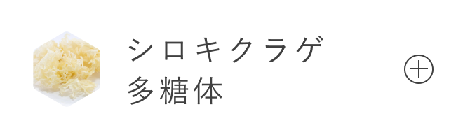 シロキクラゲ多糖体