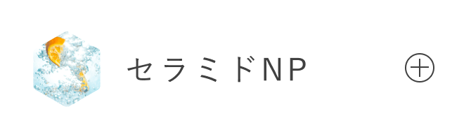 セラミドNP