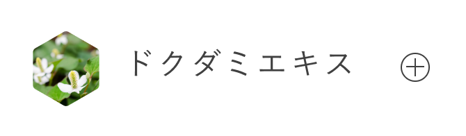 ドクダミエキス