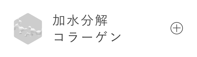 加水分解コラーゲン