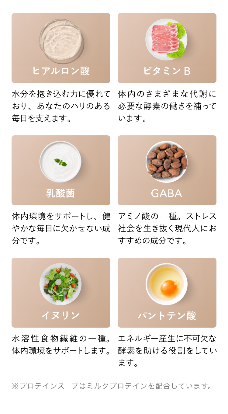 ヒアルロン酸 水分を抱き込む力に優れており、あなたのハリのある毎日を支えます。 ビタミンB 体内のさまざまな代謝に必要な酵素の働きを補っています。 乳酸菌 体内環境をサポートし、健やかな毎日に欠かせない成分です。 GABA アミノ酸の一種。ストレス社会を生き抜く現代人におすすめの成分です。 イヌリン 水溶性食物繊維の一種。体内環境をサポートします。 パントテン酸 エネルギー産生に不可欠な酵素を助ける役割をしています。 ※プロテインスープはミルクプロテインを配合しています。
